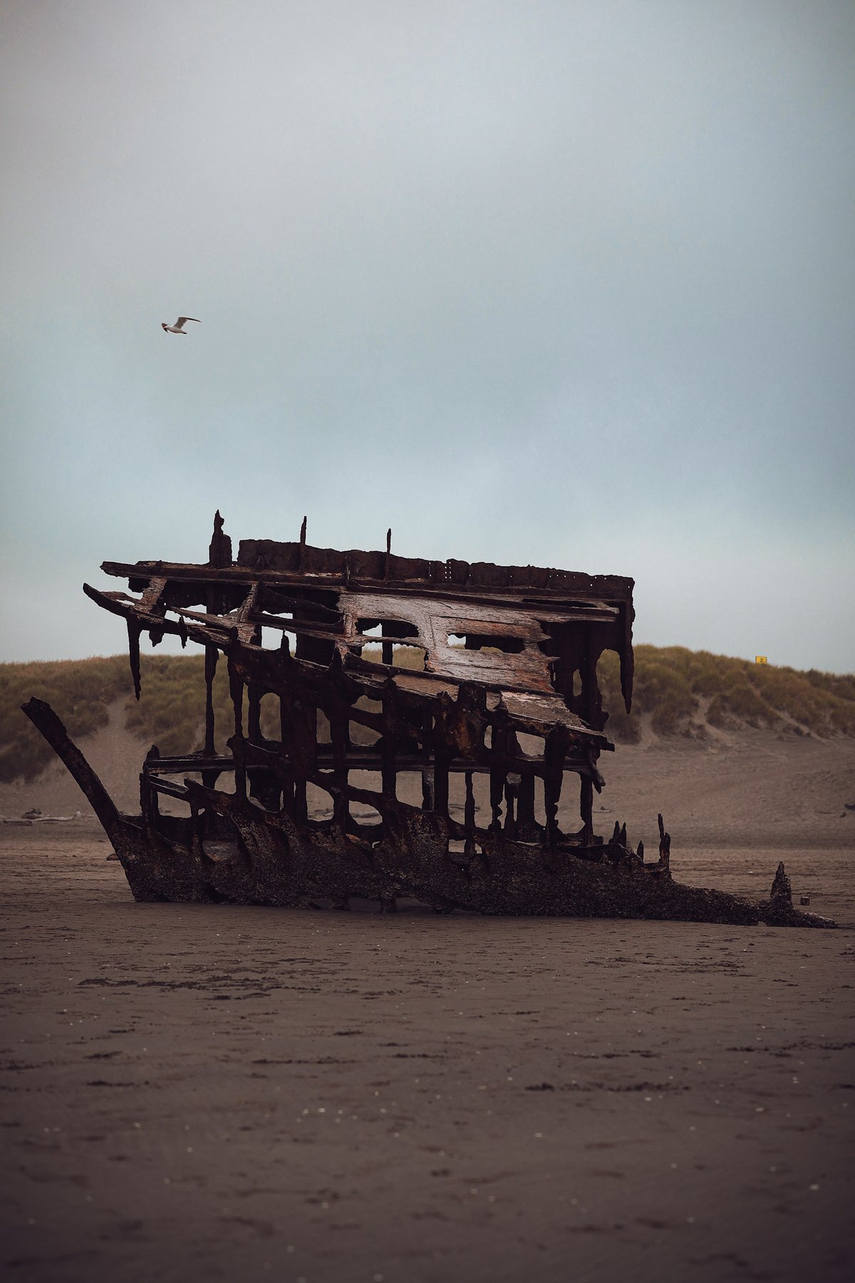 Peter Iredale shipwreck on the Oregon coast