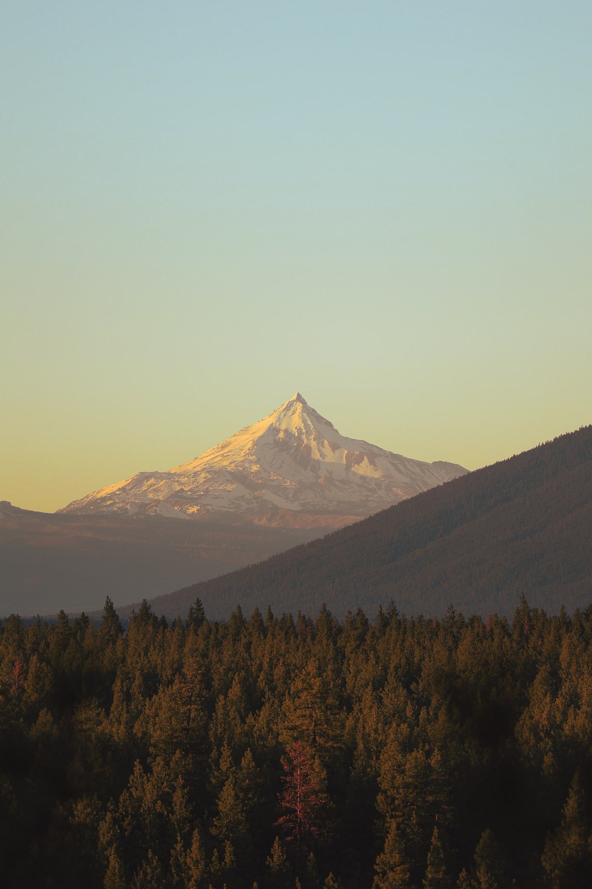 Nature — 6 of 16
