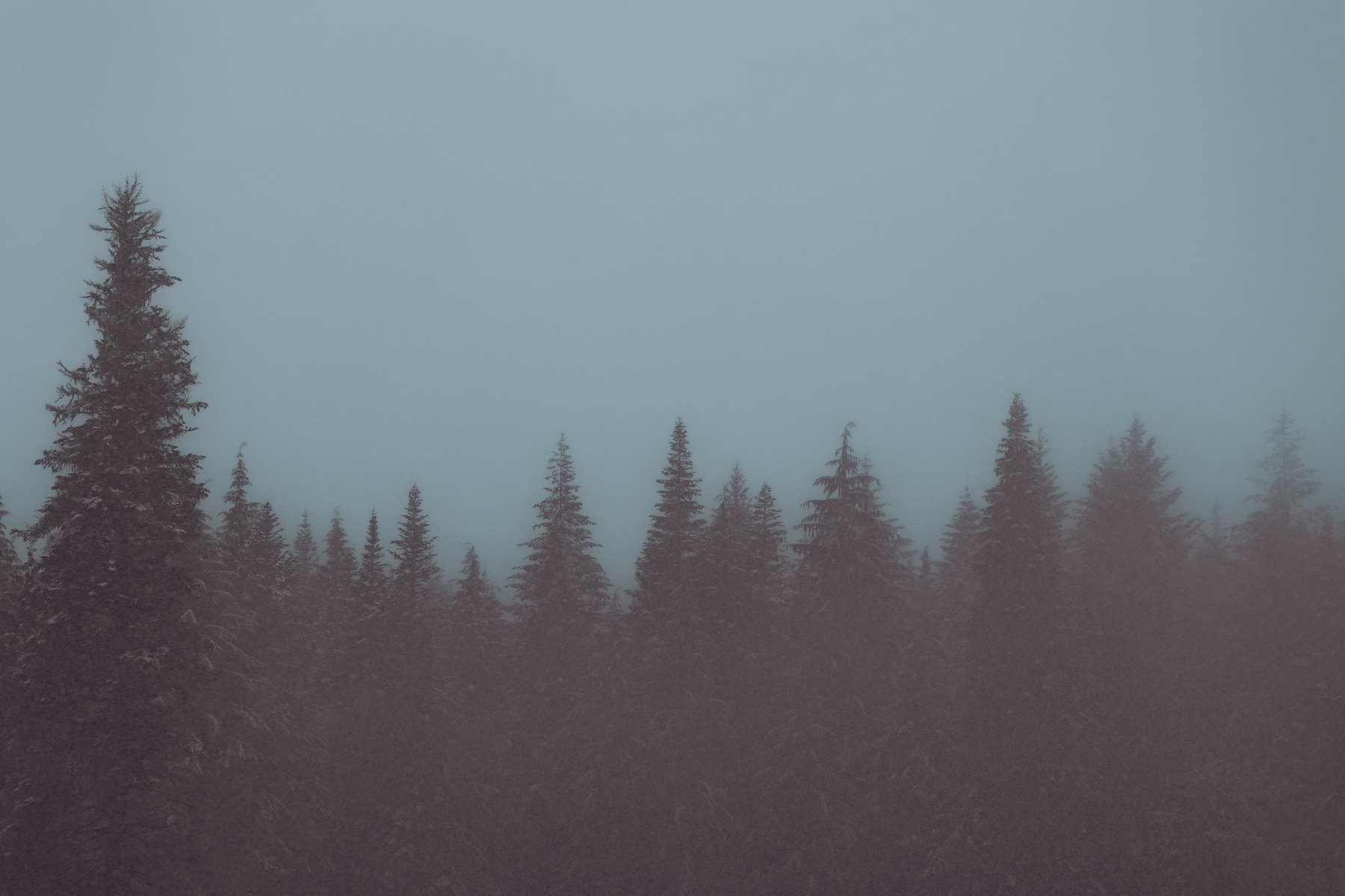 Nature — 11 of 16