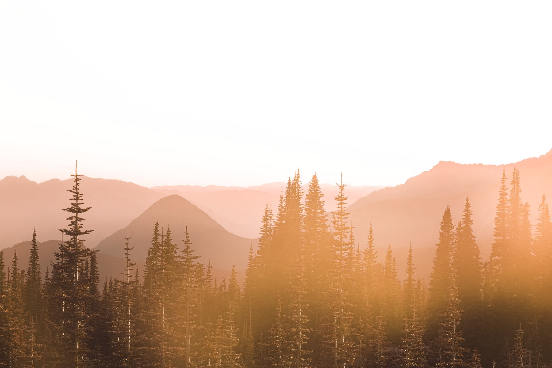 Nature — 10 of 16
