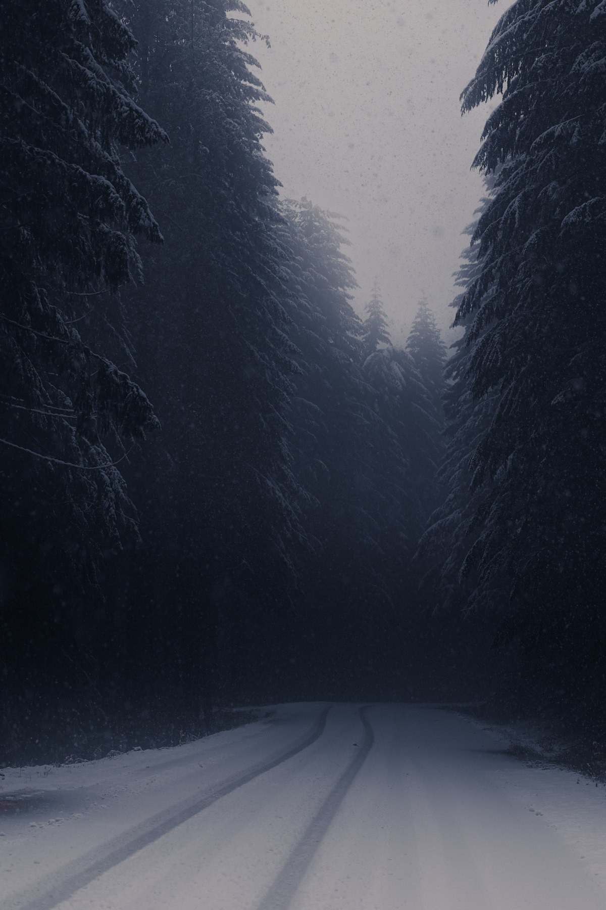 Nature — 8 of 16