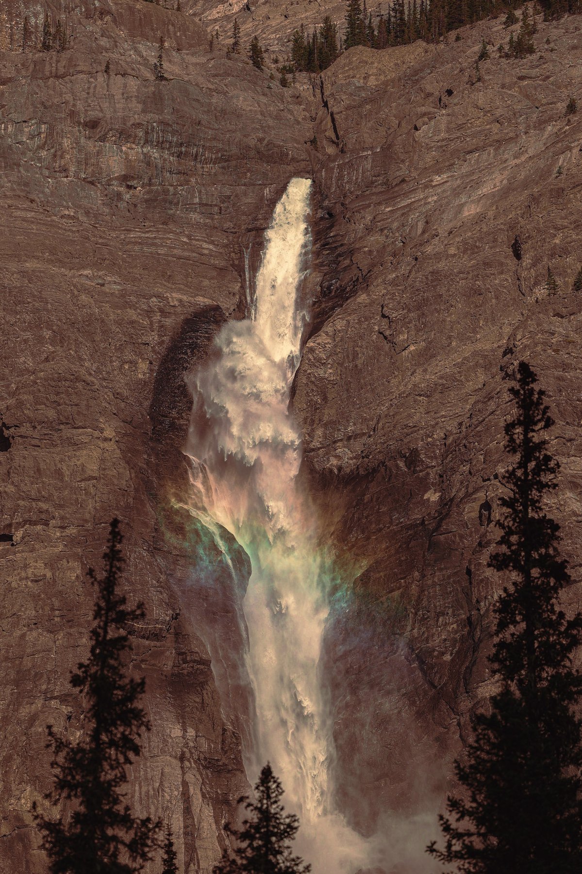 Nature — 5 of 16